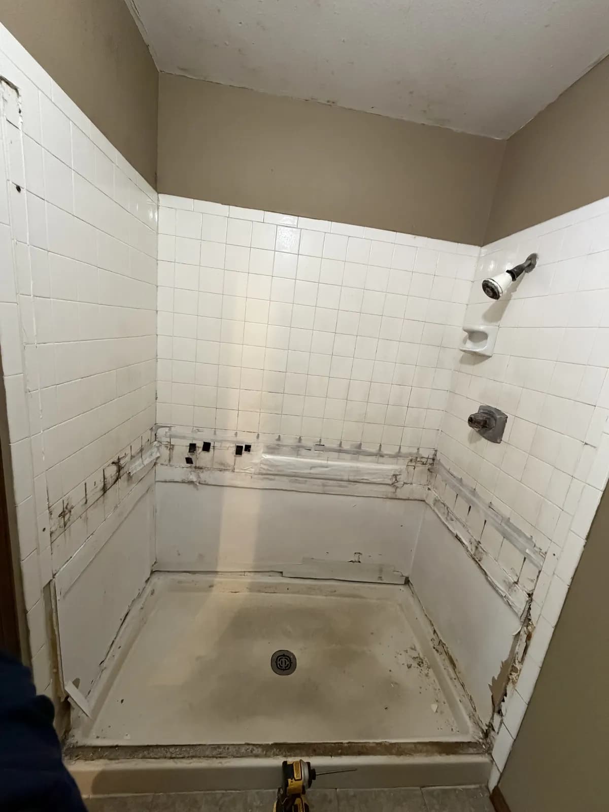 Gallery image 11