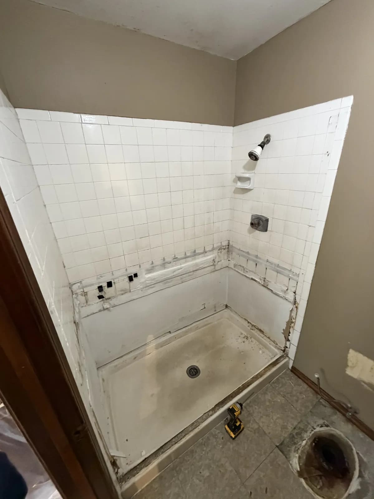 Gallery image 10