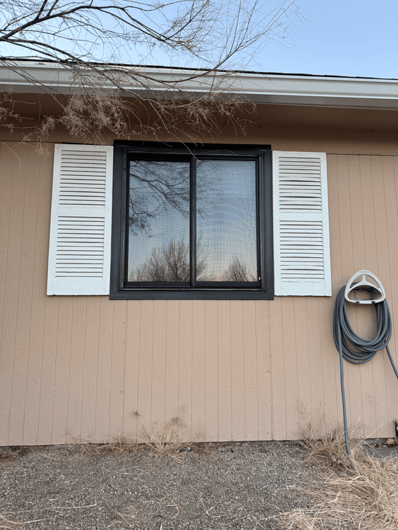Gallery image 12